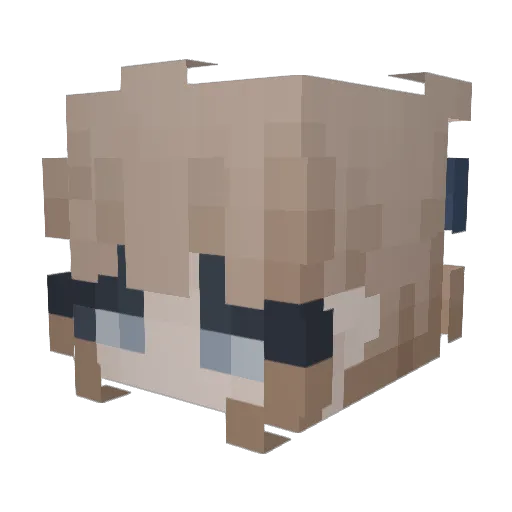 sarah361 Minecraft avatar head, 3D render