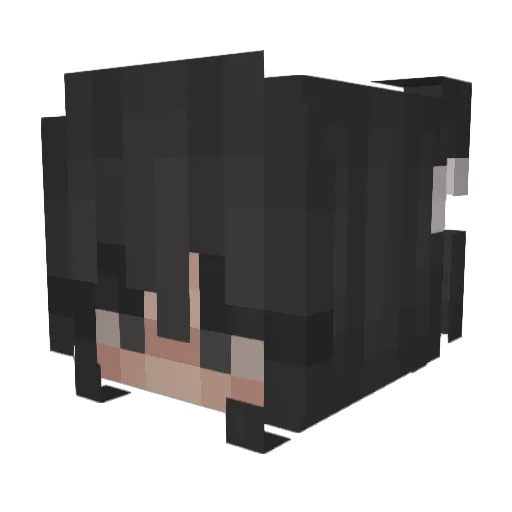 sarah_5538 Minecraft avatar head, 3D render