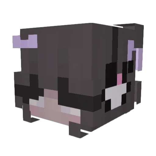 sarahaki1 Minecraft avatar head, 3D render