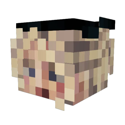 sarahbarah Minecraft avatar head, 3D render