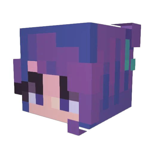 sarahbeara25 Minecraft avatar head, 3D render
