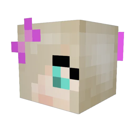 sarahcox123 Minecraft avatar head, 3D render