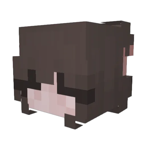 sarahdar Minecraft avatar head, 3D render