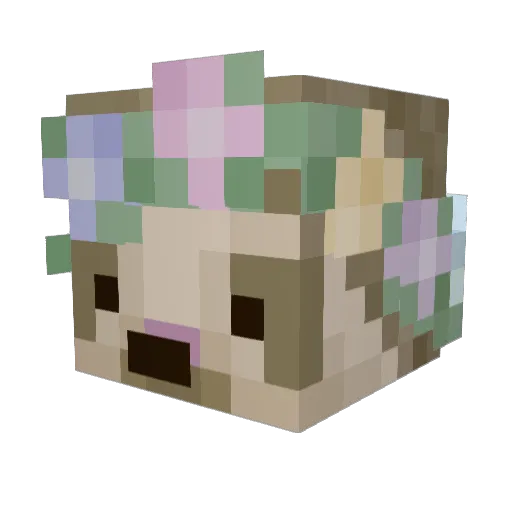 sarahsloth Minecraft avatar head, 3D render