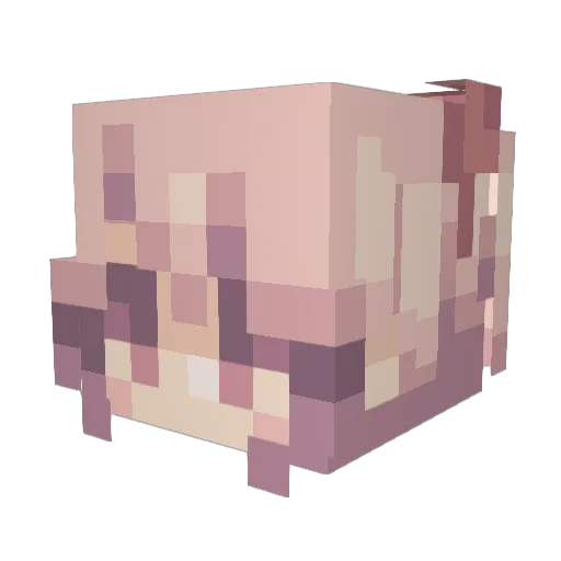 sarahspalace Minecraft avatar head, 3D render
