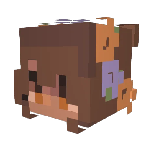 saraht0nin99 Minecraft avatar head, 3D render