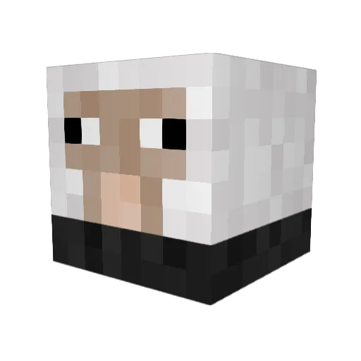 sarahtaeko Minecraft avatar head, 3D render