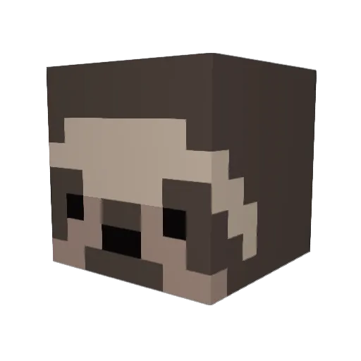 sarahthesloth Minecraft avatar head, 3D render