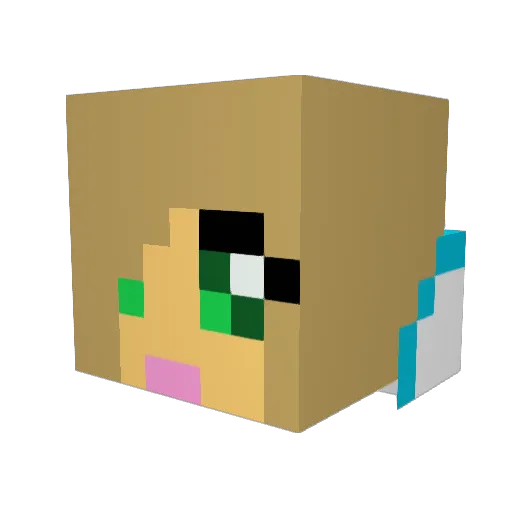 sarahwhirl Minecraft avatar head, 3D render