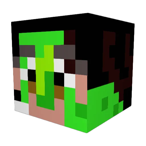 sarahzebra1428 Minecraft avatar head, 3D render