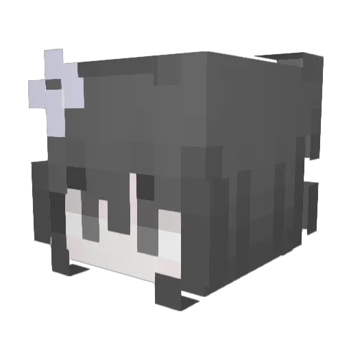 saraimdua Minecraft avatar head, 3D render