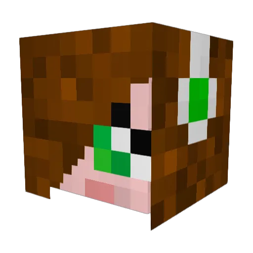 saranou Minecraft avatar head, 3D render
