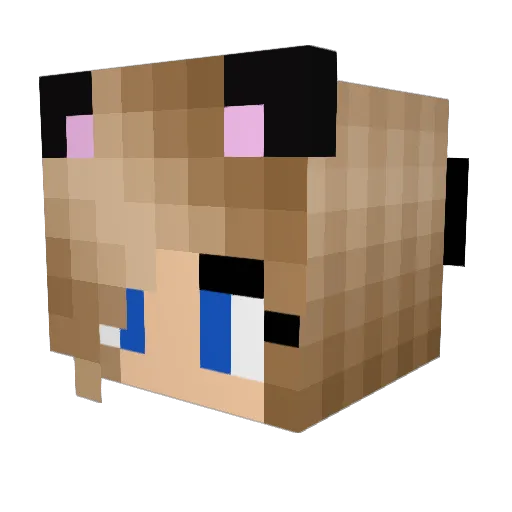 sarazt123 Minecraft avatar head, 3D render
