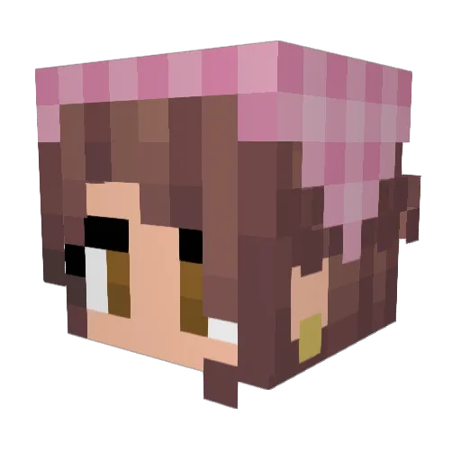 sarbear4 Minecraft avatar head, 3D render