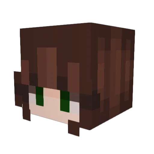 sarbee6 Minecraft avatar head, 3D render
