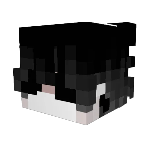 sardinaabb Minecraft avatar head, 3D render
