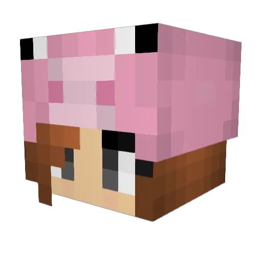 sardog12 Minecraft avatar head, 3D render