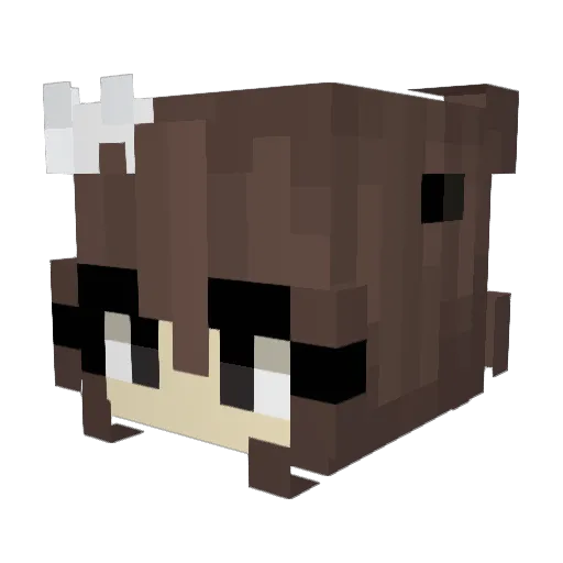 sareeily Minecraft avatar head, 3D render