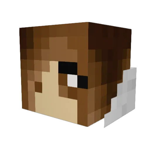 sarellis53 Minecraft avatar head, 3D render