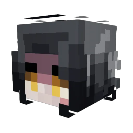 sarendian Minecraft avatar head, 3D render