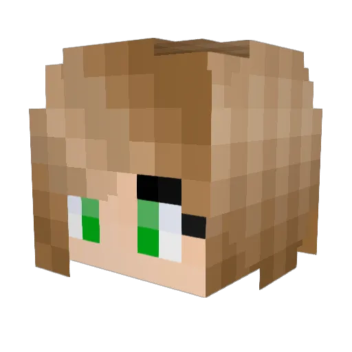 sarfw Minecraft avatar head, 3D render