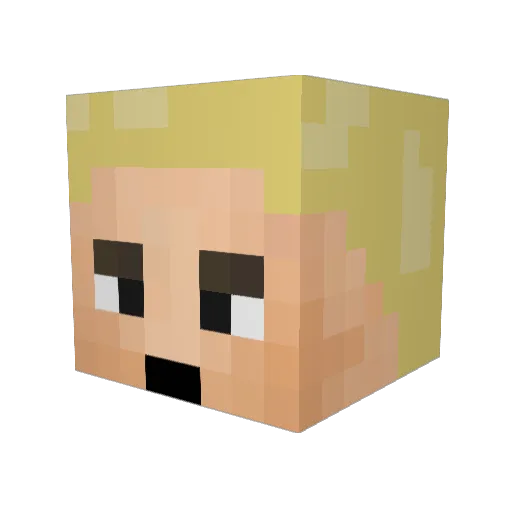 saric_23 Minecraft avatar head, 3D render