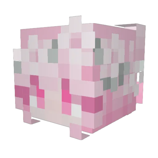 sariiss Minecraft avatar head, 3D render