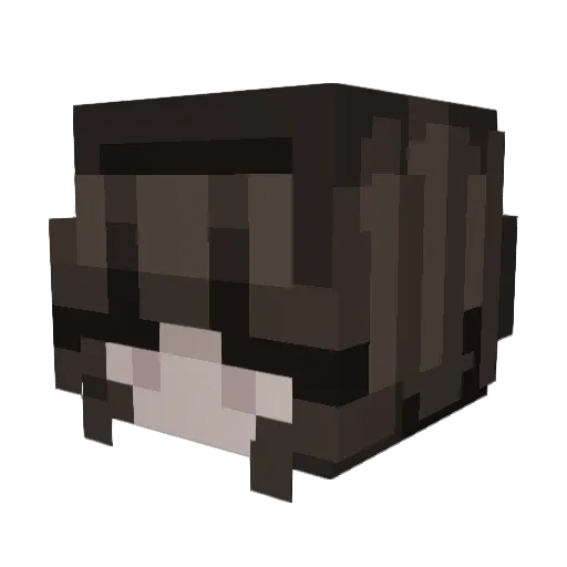 sarinal24 Minecraft avatar head, 3D render