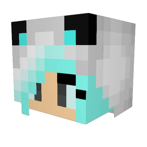 sarinha22 Minecraft avatar head, 3D render