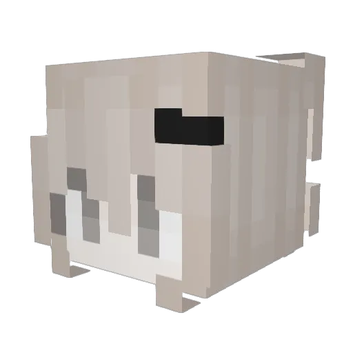 sarinnx3 Minecraft avatar head, 3D render