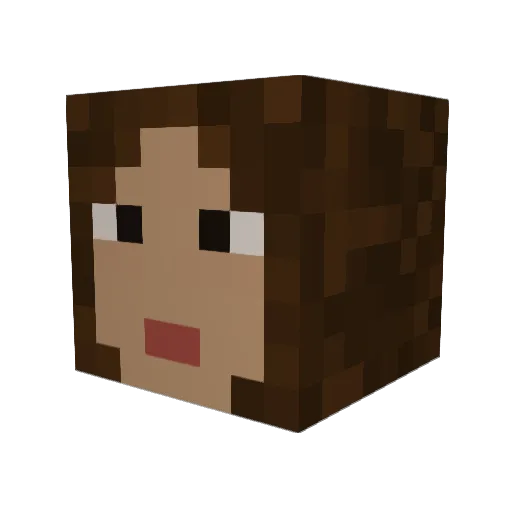 sarooosh Minecraft avatar head, 3D render