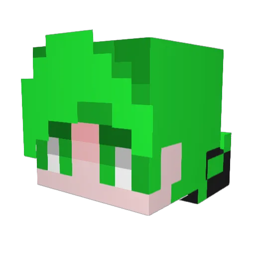 sarpali Minecraft avatar head, 3D render