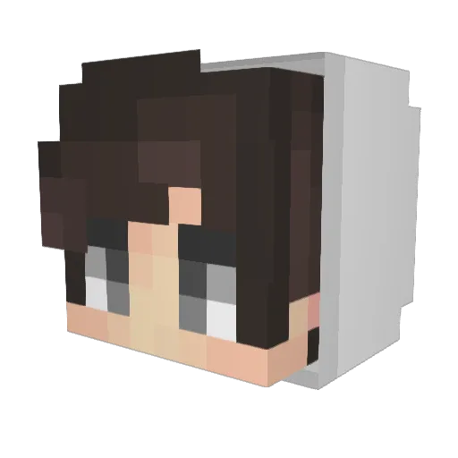 sasa03 Minecraft avatar head, 3D render