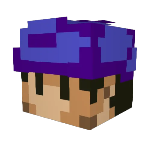 sasami1205 Minecraft avatar head, 3D render