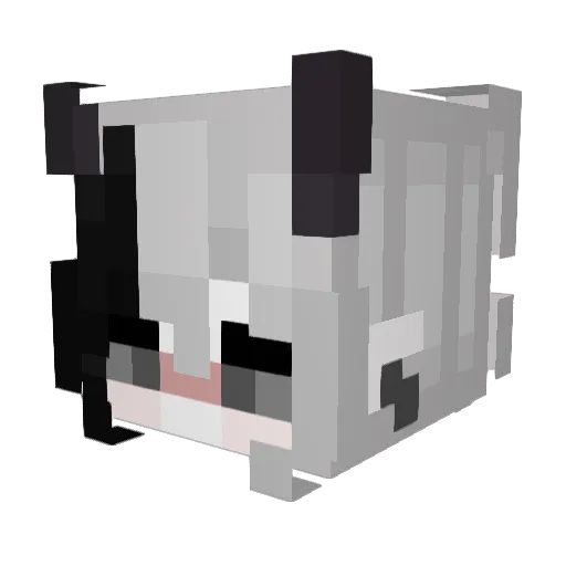 sasandra Minecraft avatar head, 3D render