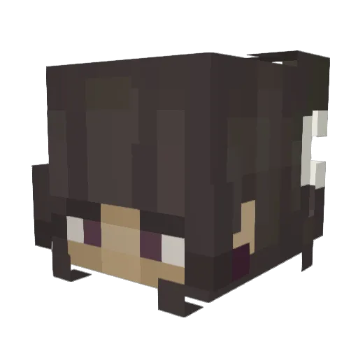 sashastar_ Minecraft avatar head, 3D render
