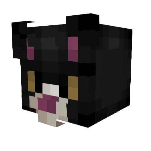 sashimi_trash Minecraft avatar head, 3D render