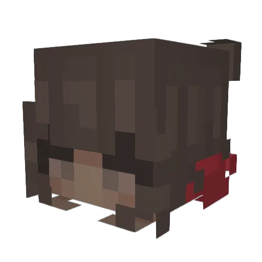 sashshoe Minecraft avatar head, 3D render