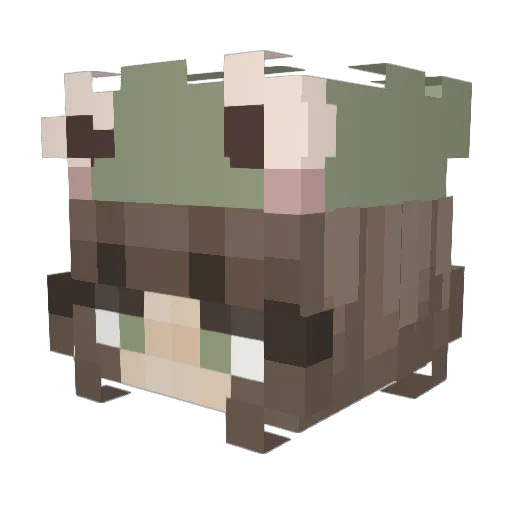 sasielle Minecraft avatar head, 3D render