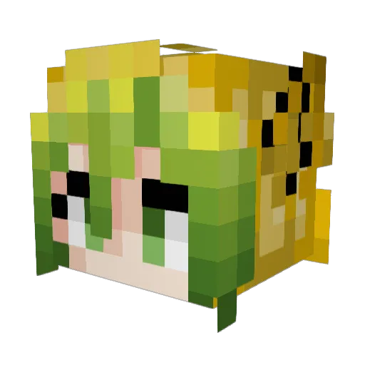 sasin5571 Minecraft avatar head, 3D render