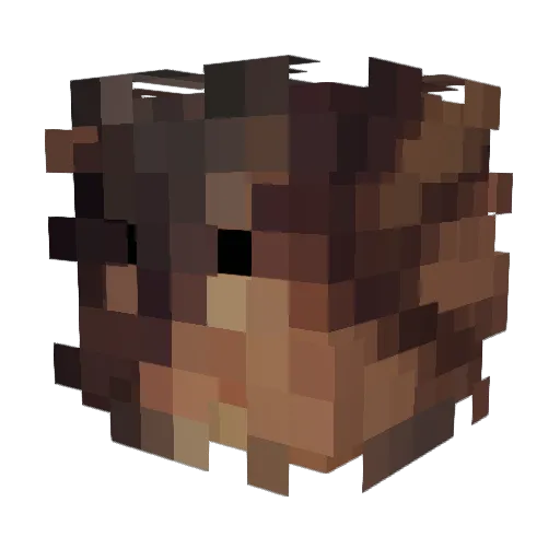 sasinister Minecraft avatar head, 3D render