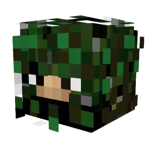 sasman1972 Minecraft avatar head, 3D render