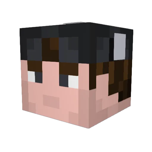 saso4530 Minecraft avatar head, 3D render