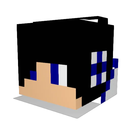 sassan0425 Minecraft avatar head, 3D render