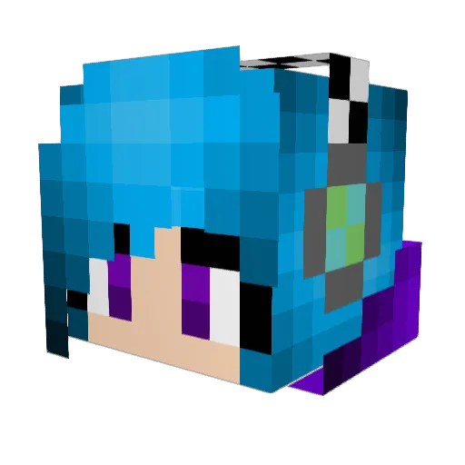 sassy_koala Minecraft avatar head, 3D render