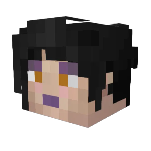 sassy_pot Minecraft avatar head, 3D render