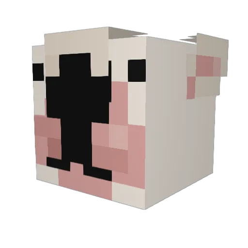 sassykitty777 Minecraft avatar head, 3D render
