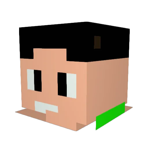 sassypanda9 Minecraft avatar head, 3D render