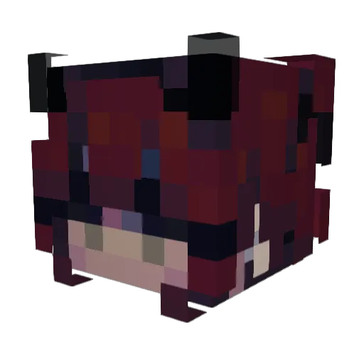 sassypantssally Minecraft avatar head, 3D render