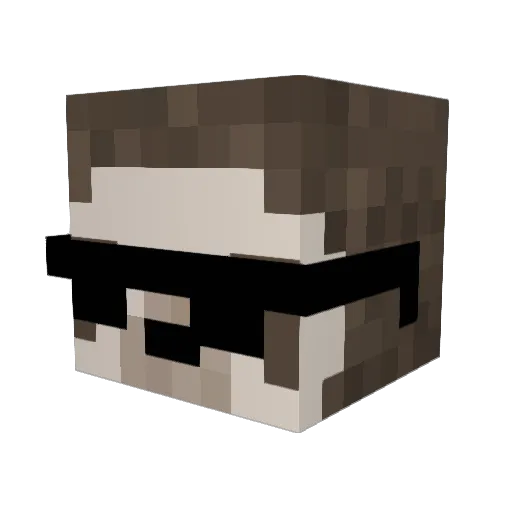 sassypickle2022 Minecraft avatar head, 3D render